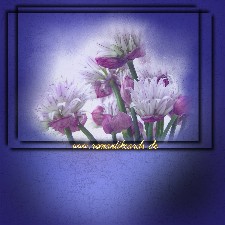 Mach heute mal nicht soviel und lass die Arbeit Arbeit sein... Geniee lieber den Tag!