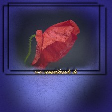 La uns an schne Dinge denken... an eine Blumenwiese... gen Himmel schauen und die Ruhe genieen... Oh wie warm wird mir meine Seele