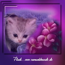 Wrme und Geborgenheit sind nicht immer sichtbar